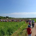 Odlično posjećeno novigradsko izdanje manifestacije Hoditi i zdravi biti